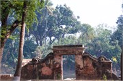 Puthia2015_68