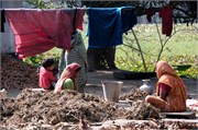 Puthia2015_91