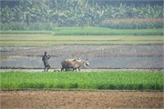 Bangladesh2015c_28