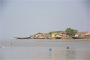 Sundarbans2015_10
