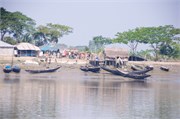 Sundarbans2015_12