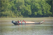 Sundarbans2015_13