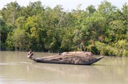 Sundarbans2015_18