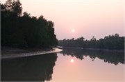 Sundarbans2015_43