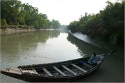 Sundarbans2015a_19