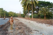 Sundarbans2015a_2