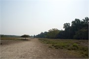 Sundarbans2015a_27