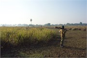 Sundarbans2015b_28