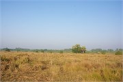 Sundarbans2015b_29