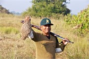 Sundarbans2015b_31