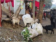 Bangladesh2015_1