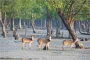 Bangladesh2015_42