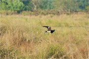Bangladesh2015_88