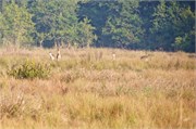 Bangladesh2015_90