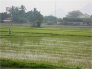 RiverKwai27