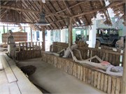 RiverKwai71
