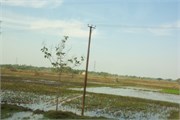 Myanmar02042015_10