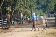 Pyay2015_10