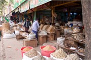 Magway_19