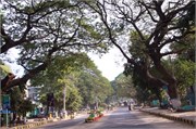 Magway_50