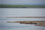 Magway_84