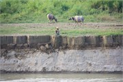 Magway_85