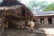 OhnNeChaung23