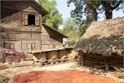 OhnNeChaung36