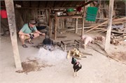 YandaboVillage3