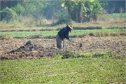 203-Pyay2015_42