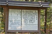 Tokyo12
