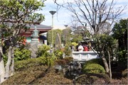 Tokyo55
