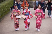 100-Kyoto