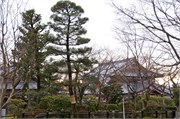 157-Kyoto