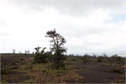 Hilo-Kilauea17