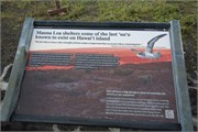 Hilo-Kilauea24
