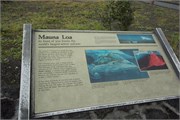 Hilo-Kilauea25