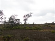 Hilo-Kilauea44