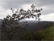 Hilo-Kilauea49