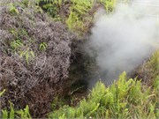 Hilo-Kilauea63