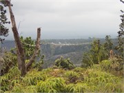 Hilo-Kilauea66