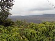 Hilo-Kilauea70