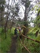 Hilo-Kilauea73