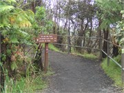 Hilo-Kilauea81