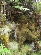 Hilo-Kilauea84