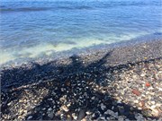 Lahaina-Maui11