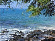 Lahaina-Maui19