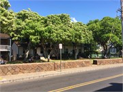 Lahaina-Maui26