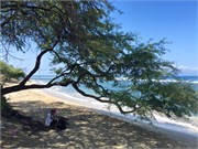Lahaina-Maui9