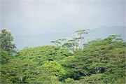 Nawiliwili11